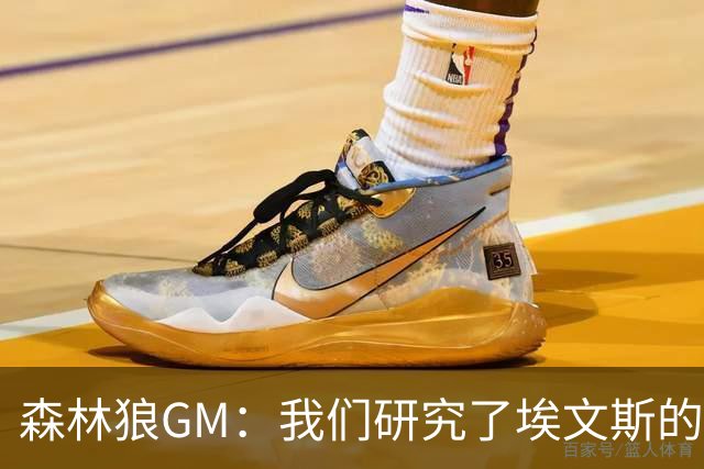 森林狼GM：我们研究了埃文斯的每次三分投篮 相信其技术能对接NBA